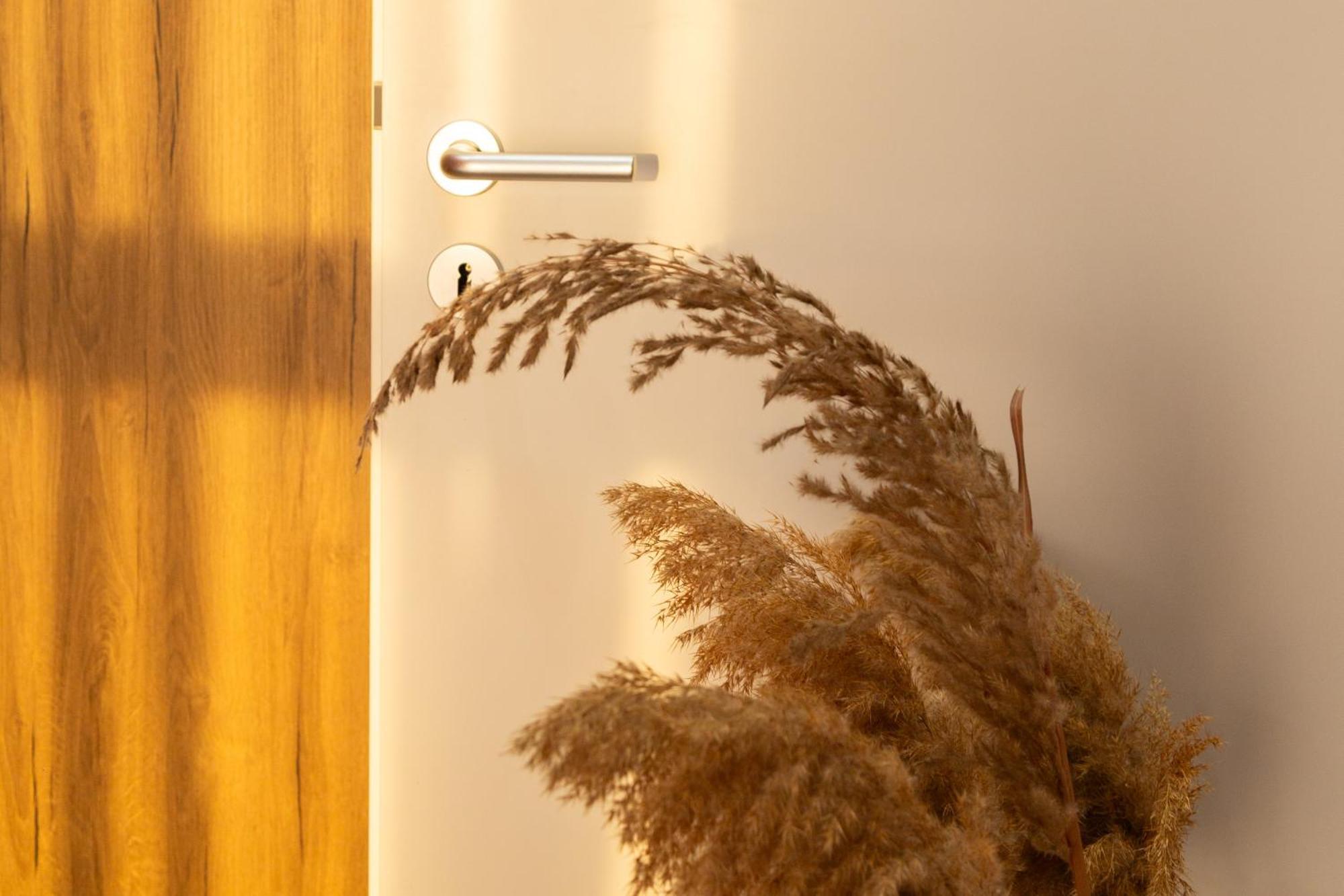 טיראנה Art Vista Apartment מראה חיצוני תמונה
